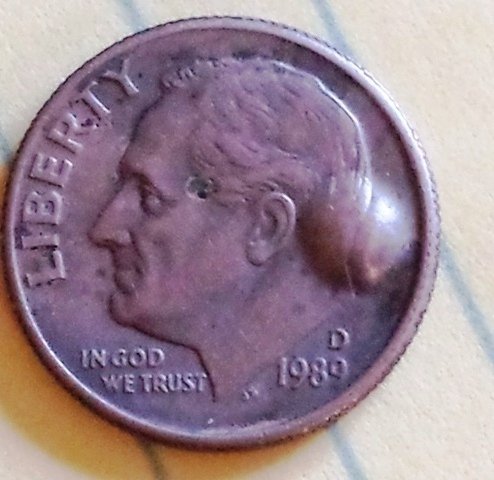 head1w.jpg