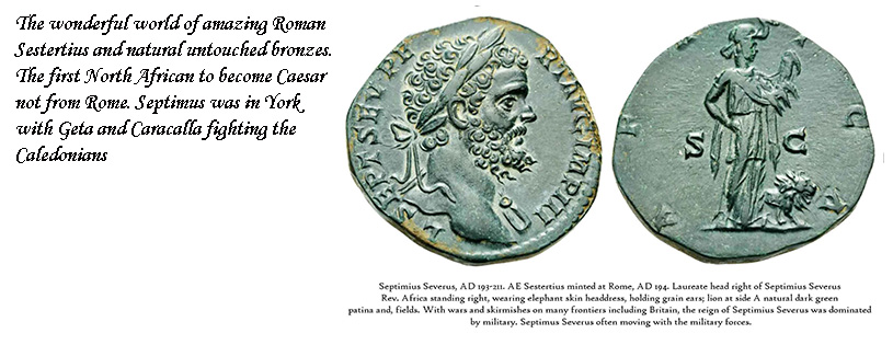 header septimus.jpg
