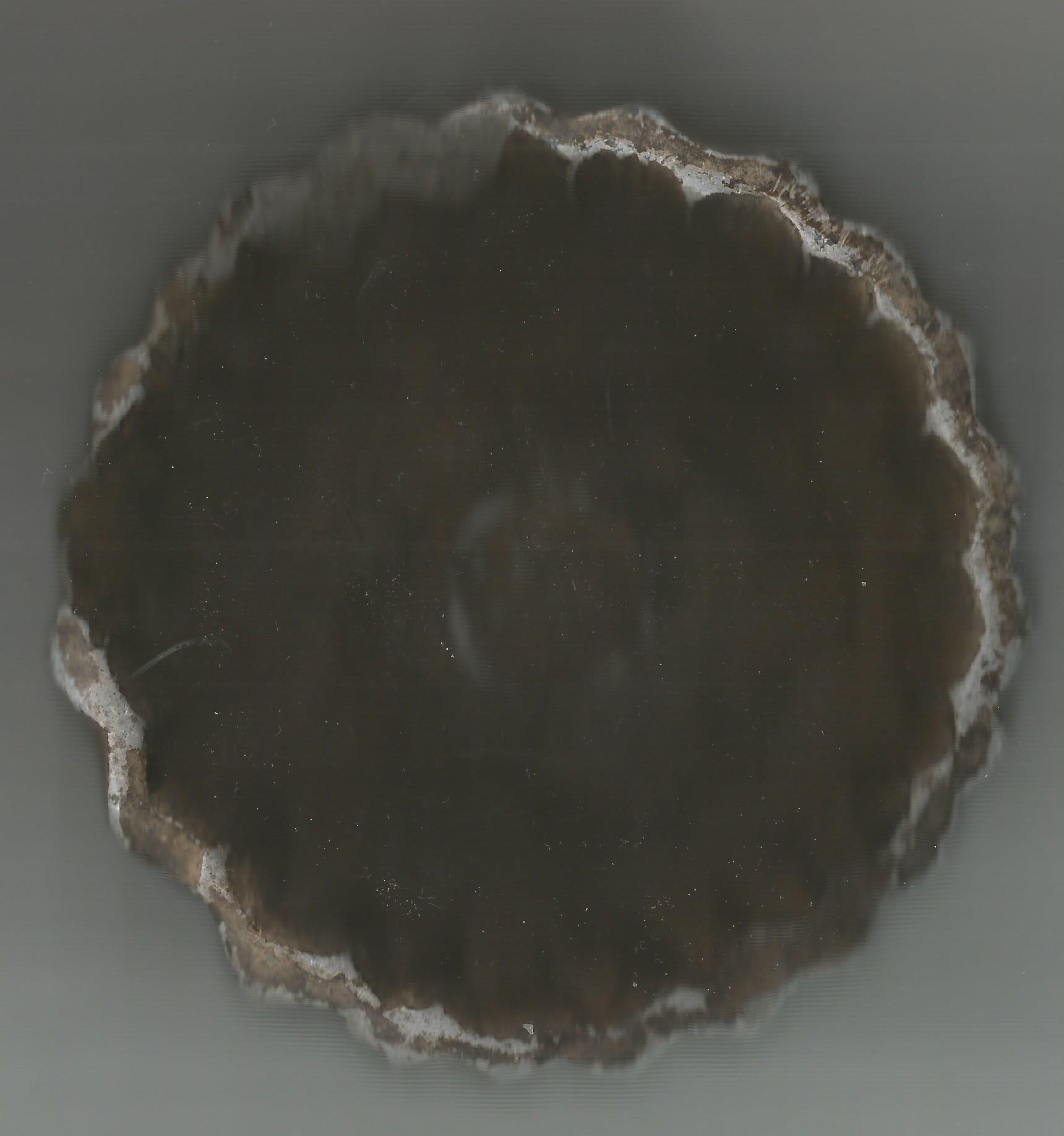 HeavBl O 001.jpg