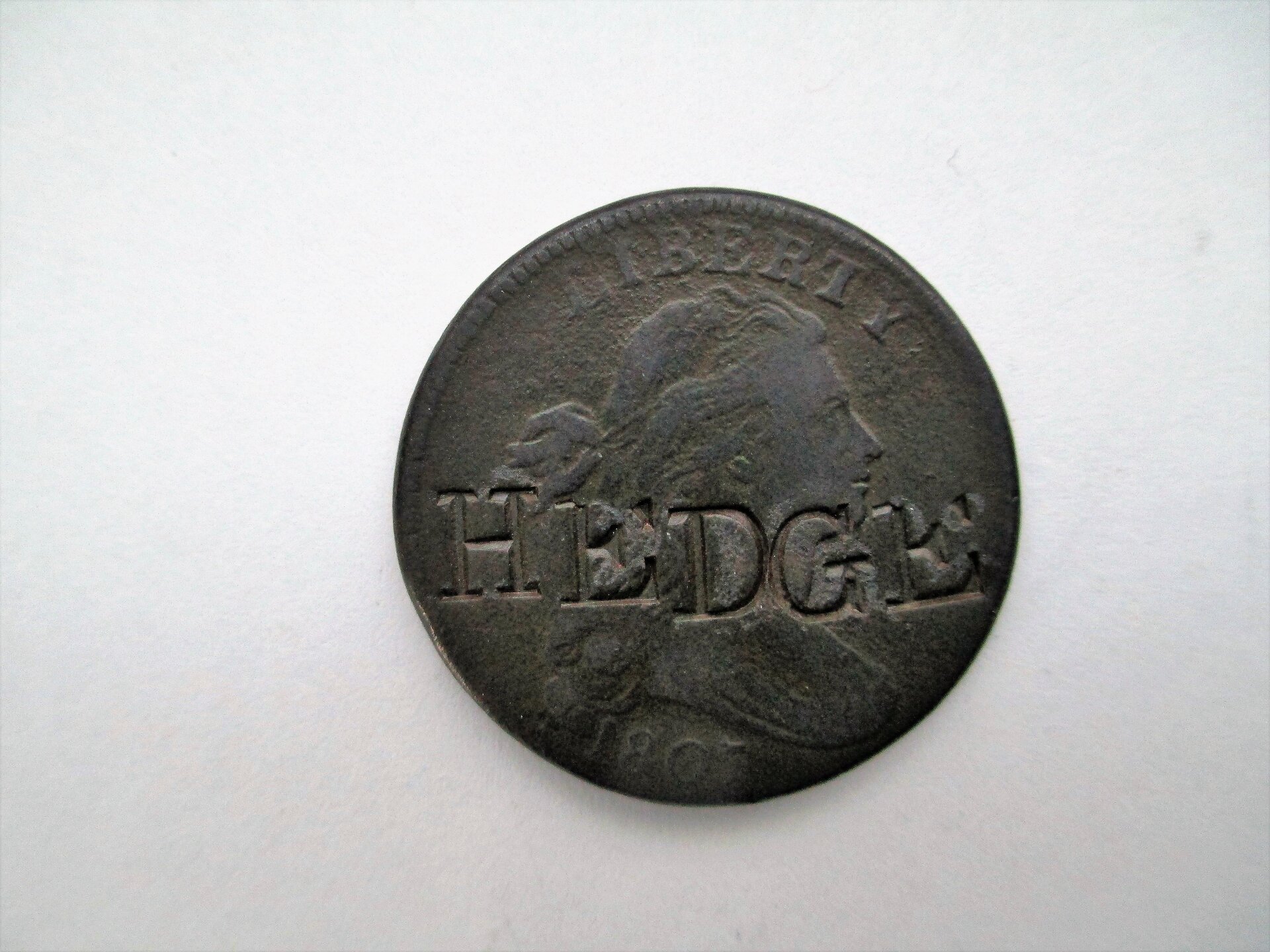 Hedge 1.JPG