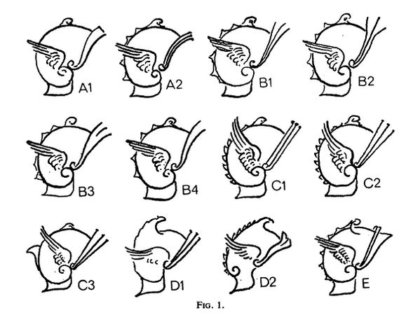 Helmet Styles.JPG