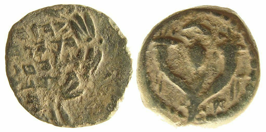 Hendin 1133 var.jpg