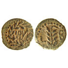 Hendin 1333 Gratus.jpg