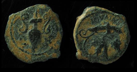 Hendin 1336 Gratus.jpg