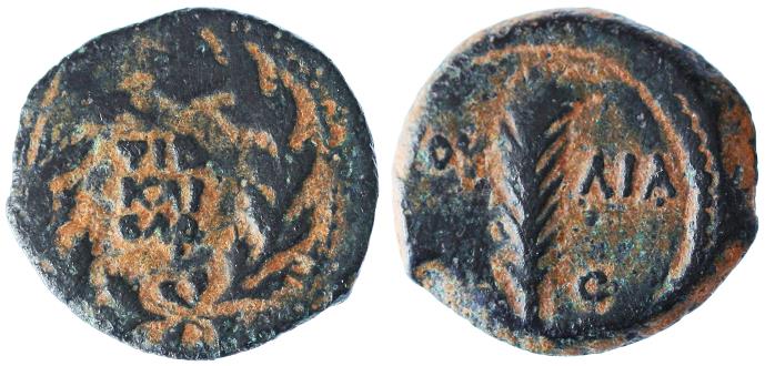 Hendin 1339 - Gratus.jpg
