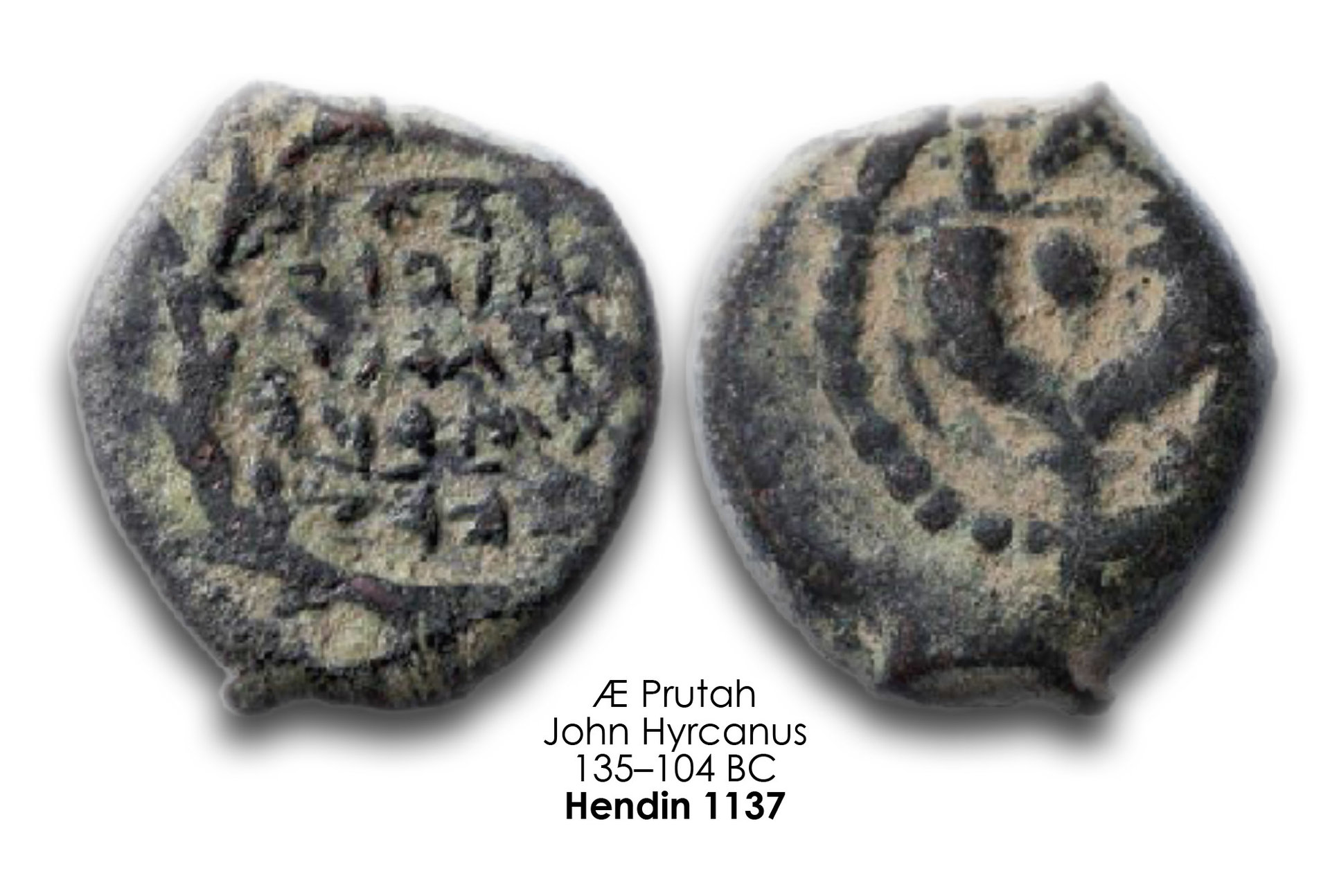 Hendin_1137.jpg