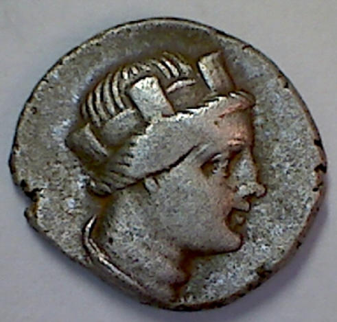 Hera owl side view aa.jpg