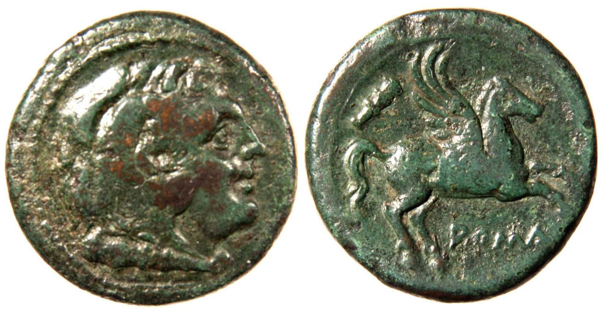 HercPegasusLitra-1.jpg