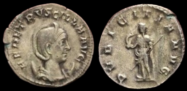 Herennia Estrucilla.png