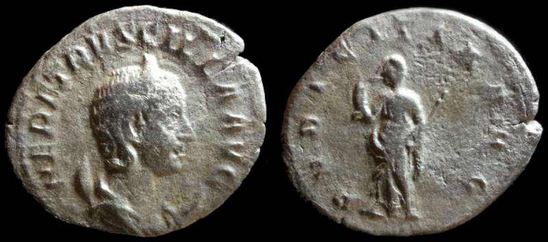 HERENNIA ETRUSCILLA 1.jpg