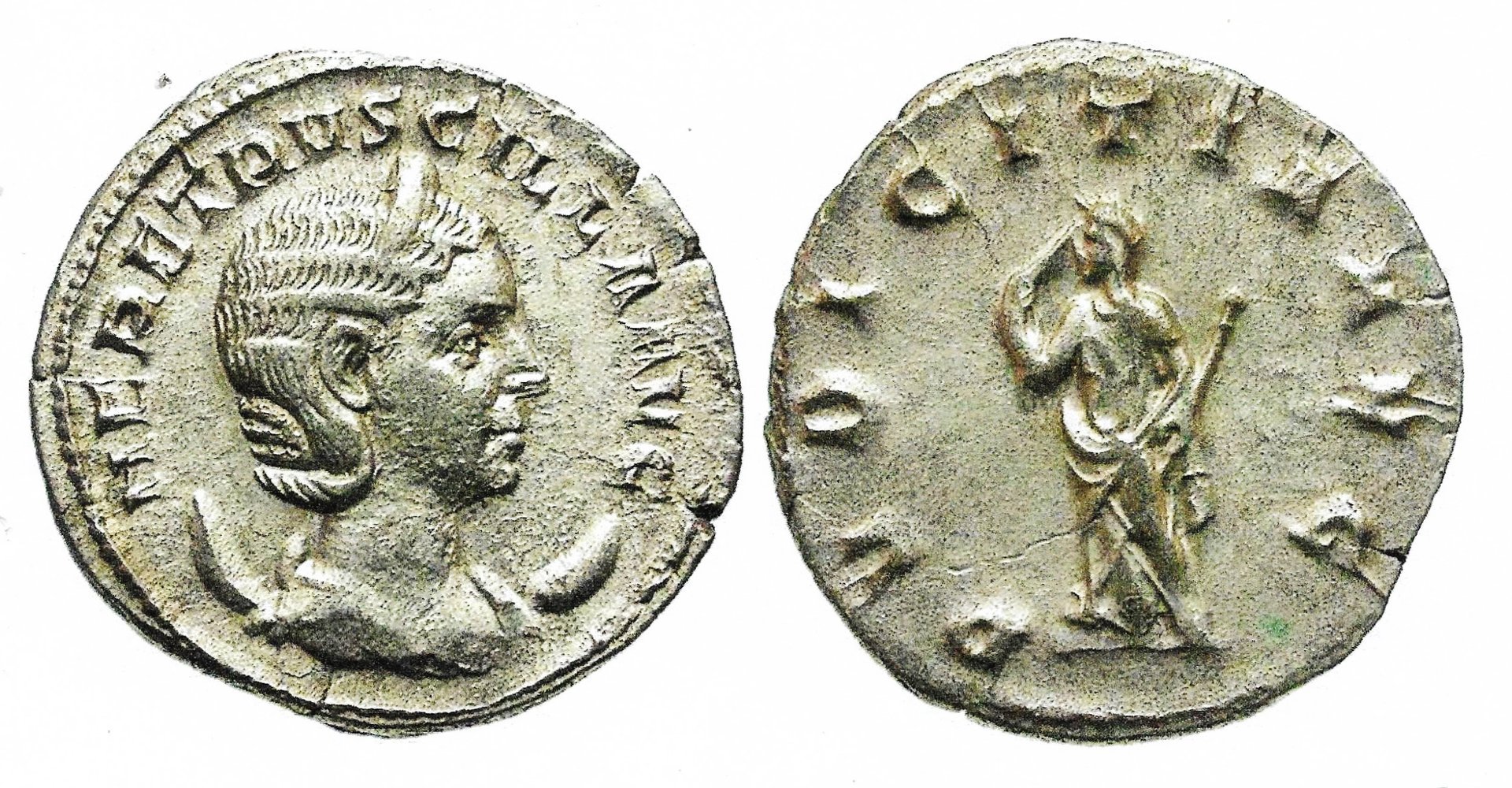 Herennia Etruscilla jpg.jpg