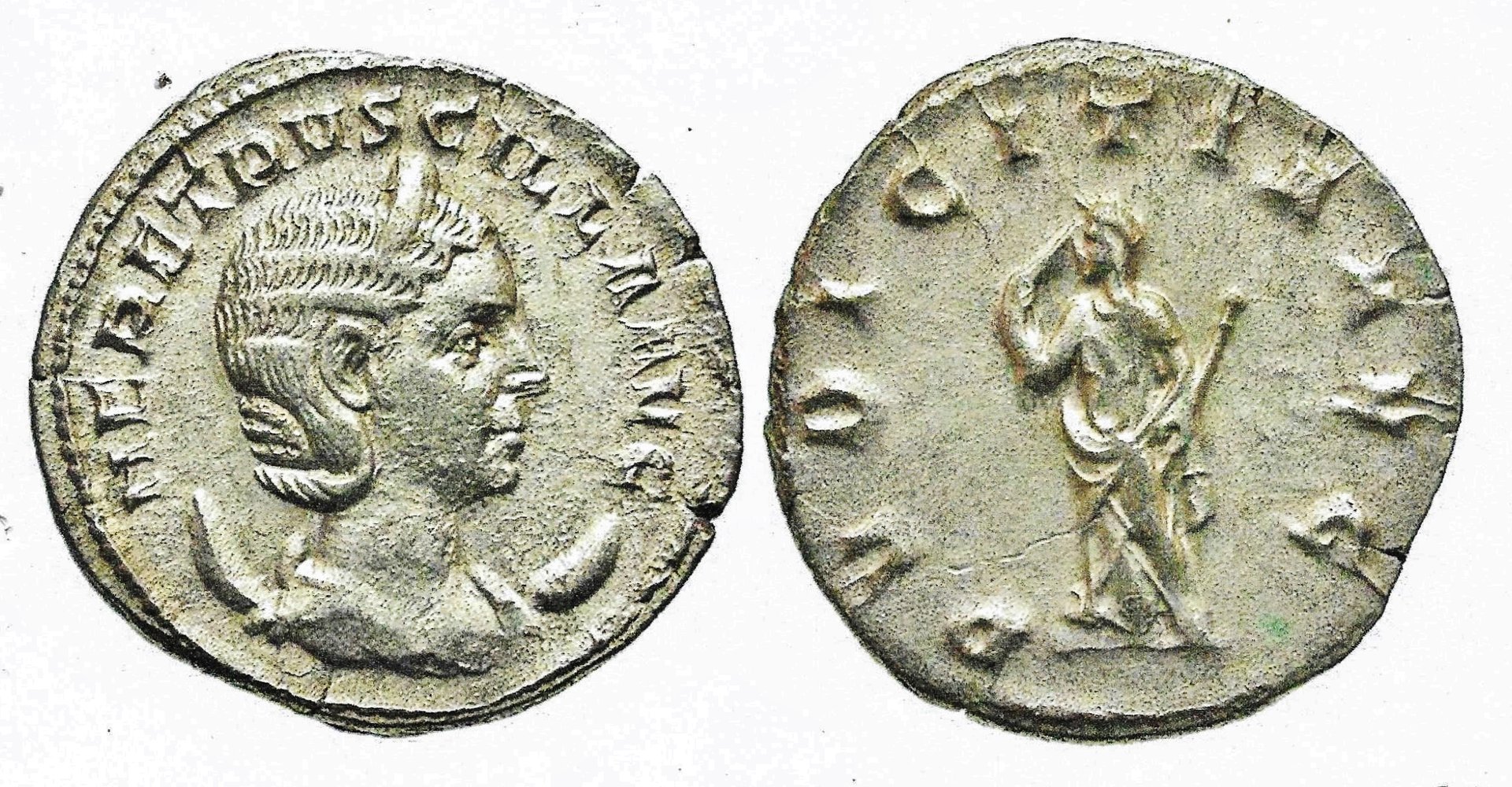 Herennia Etruscilla jpg.jpg
