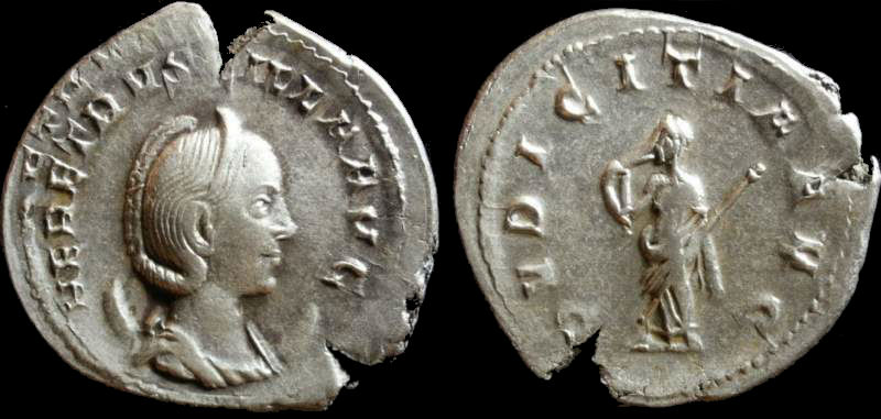 HERENNIA ETRUSCILLA.jpg