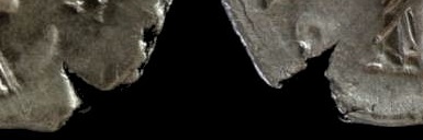 HERENNIA ETRUSCILLAvisual info.jpg