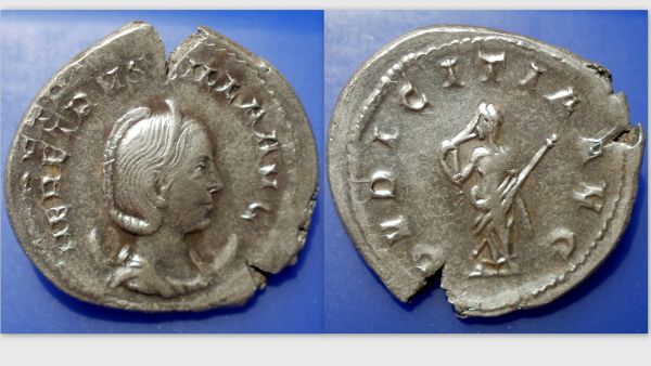 Herennia_Etruscilla2.jpg