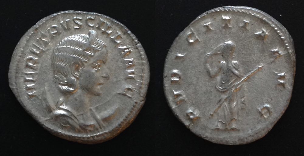 HerenniaEtPVDICITIA1954.jpg