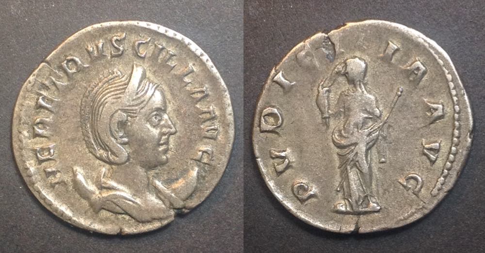 HerenniaEtruscilla1878.jpg