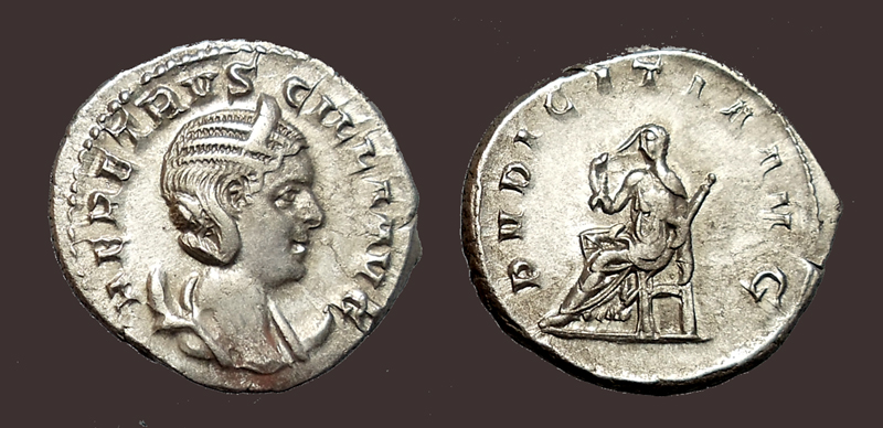 HerenniaEtruscillaAntPudicitia.jpg