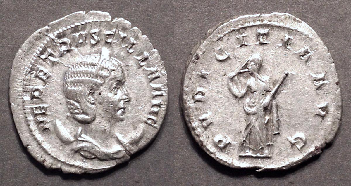 HerenniaEtruscillaPVDICTIAVGAstg2145.jpg