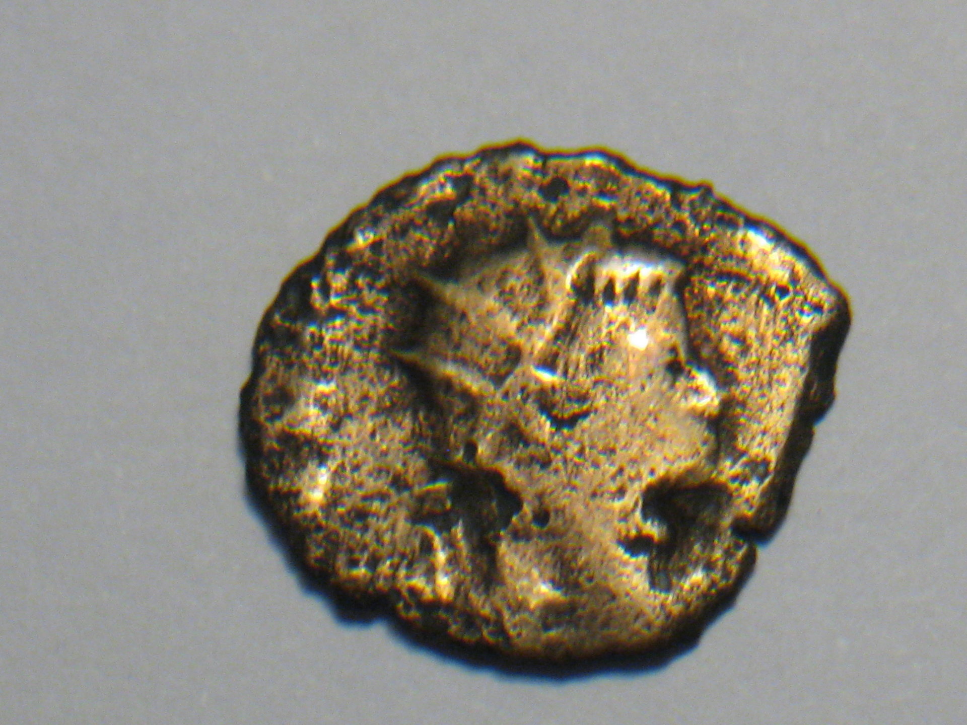 herennius etruscus 002.JPG
