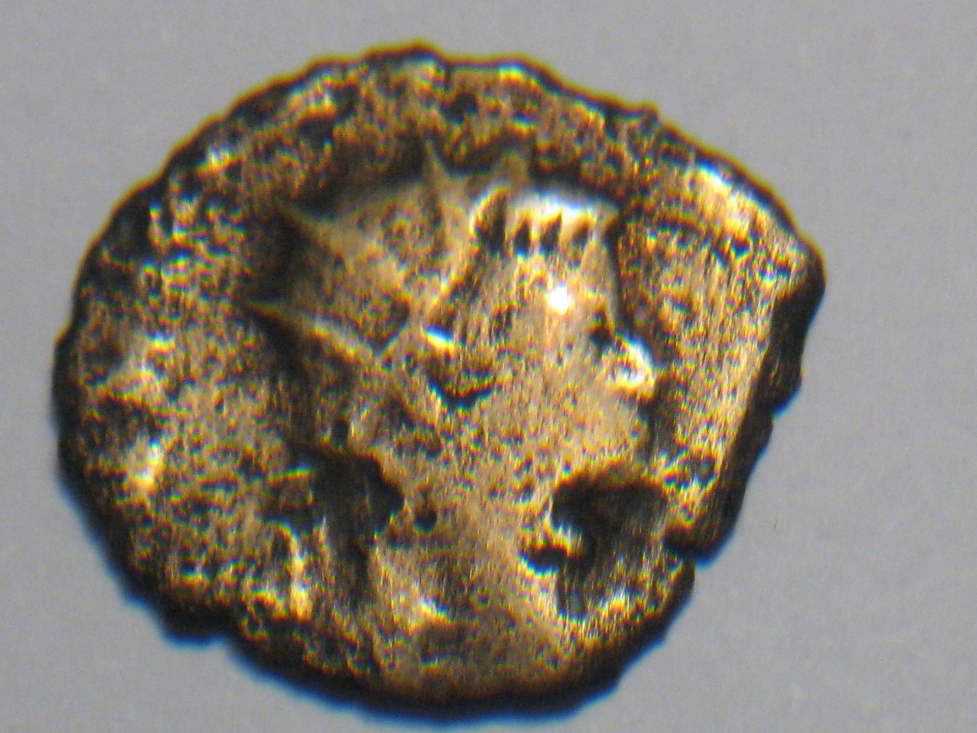 herennius etruscus 004.JPG
