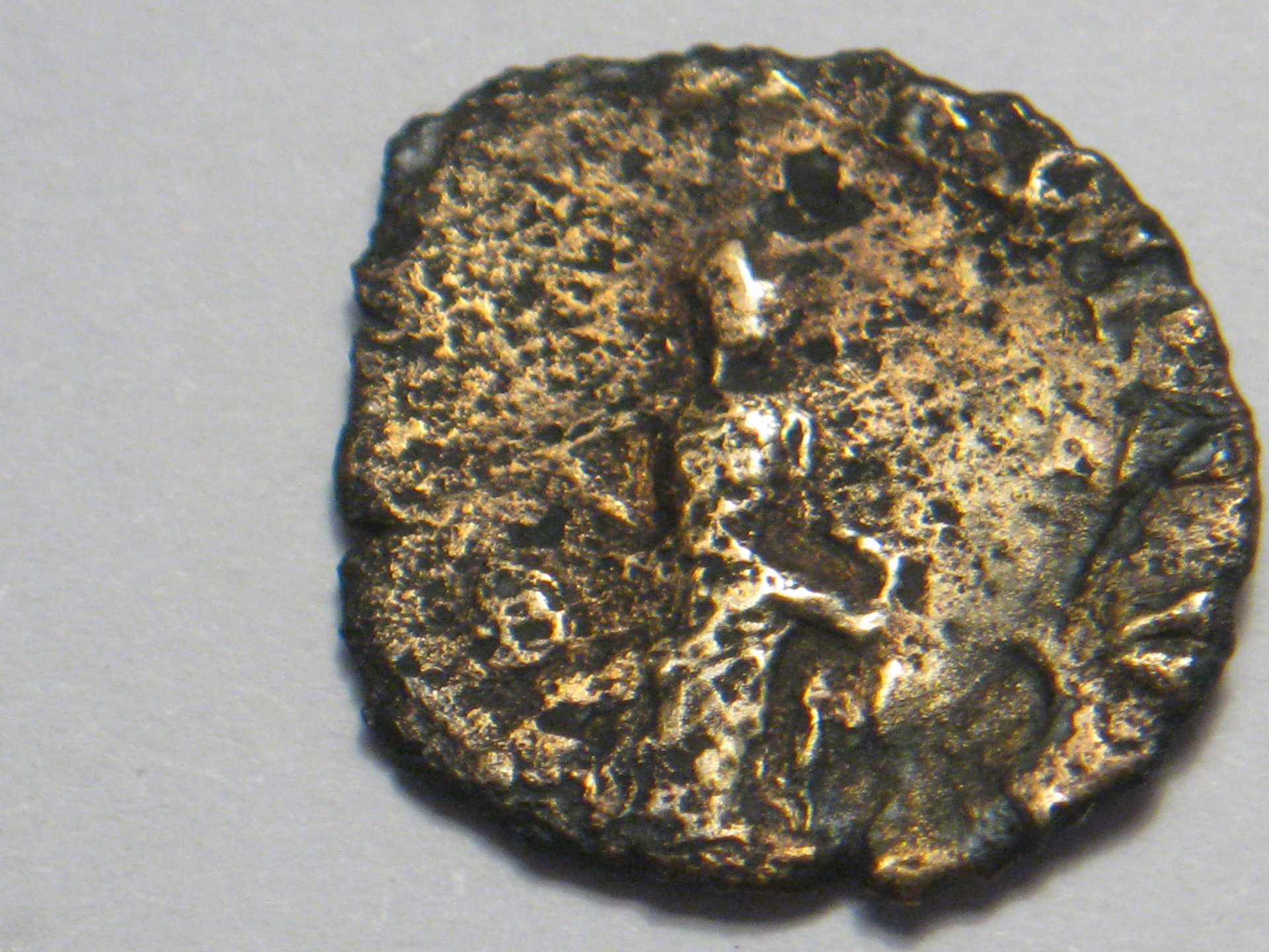 herennius etruscus 006.JPG