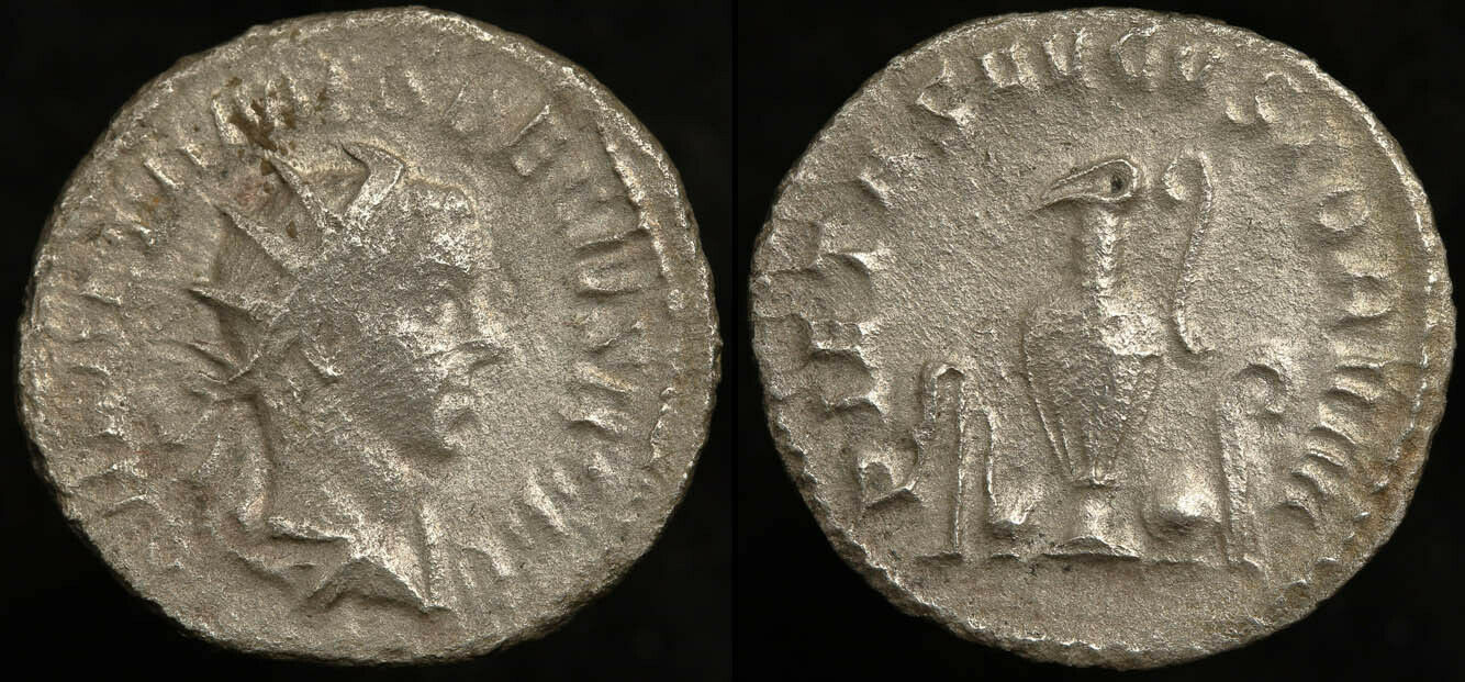 herennius etruscus antoninianus.jpg