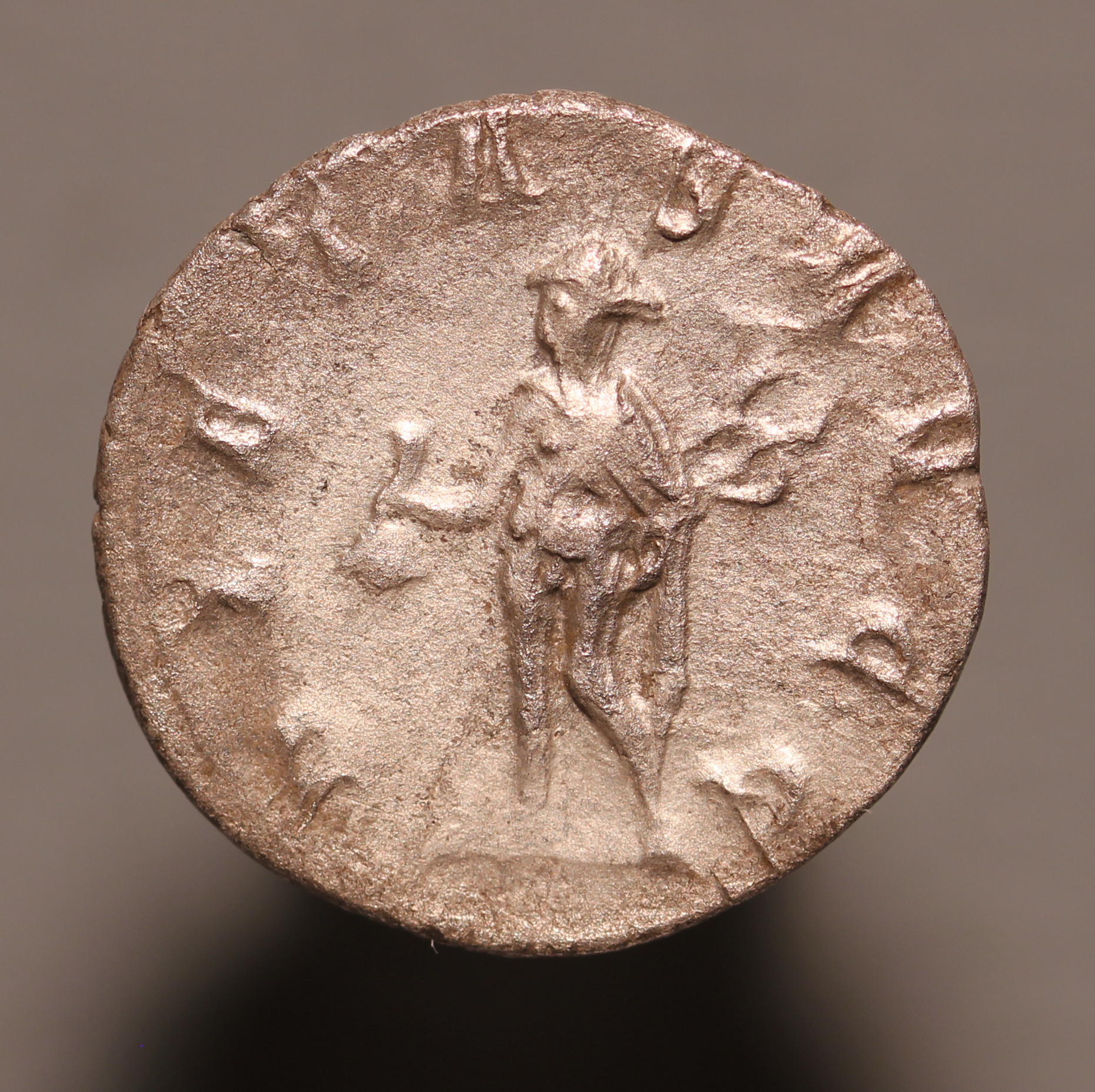 HerenniusEtruscus251AdR.jpg