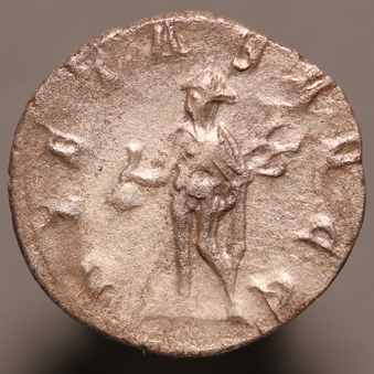 HerenniusEtruscus251AdRx339.jpg