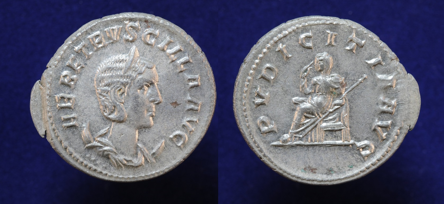 heretruscilla3.JPG
