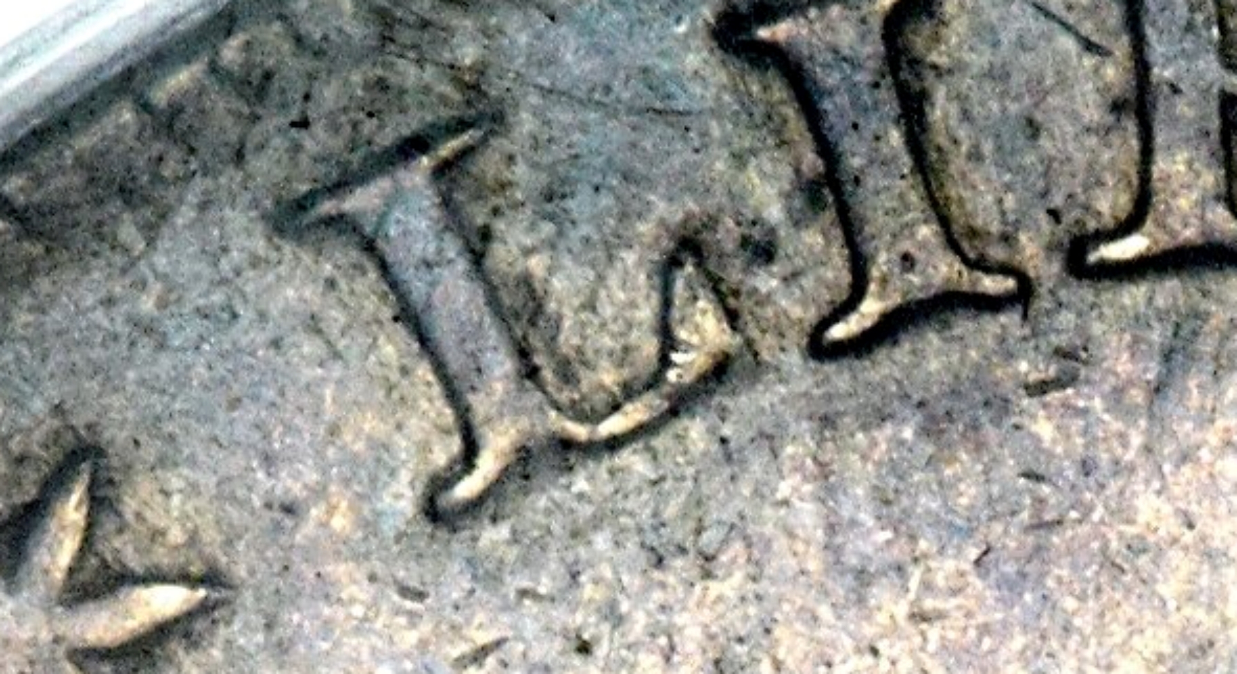 Heritage-Cropped L.jpg