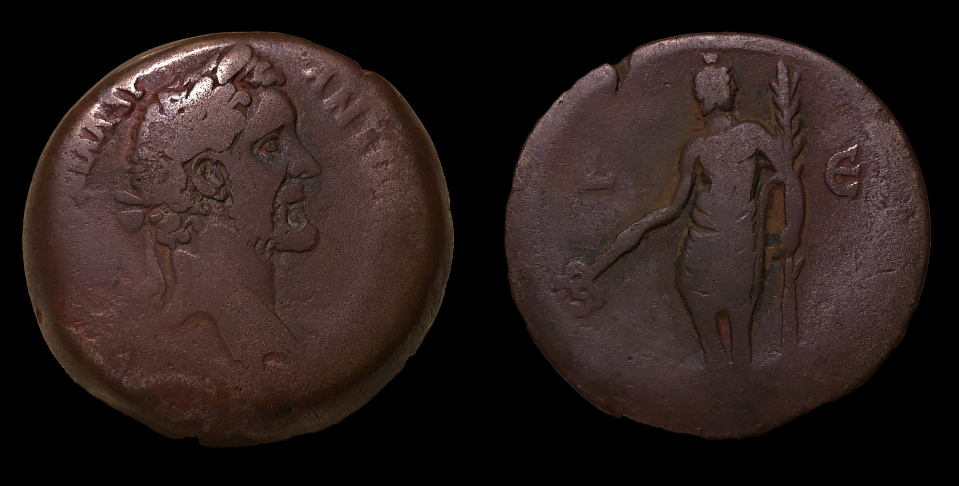 Hermanubis copy.jpg