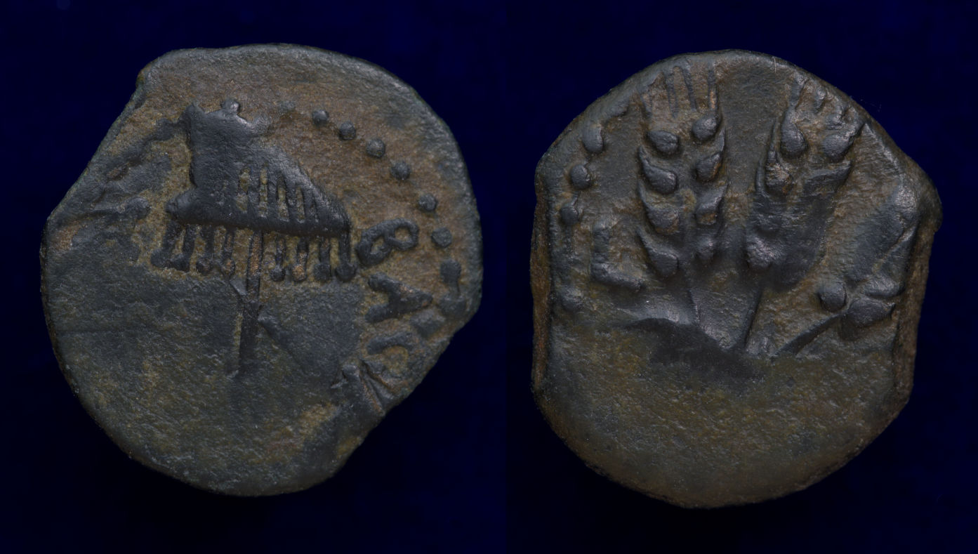 Herod Aprippa I Judaea.jpg