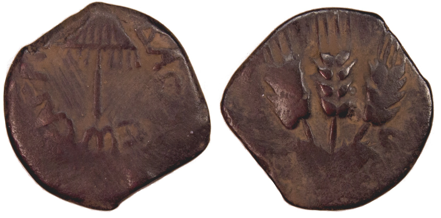 herodagrippa.jpg