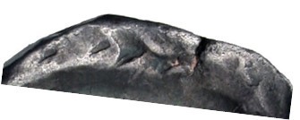 HerPhalDrOdetail.jpg