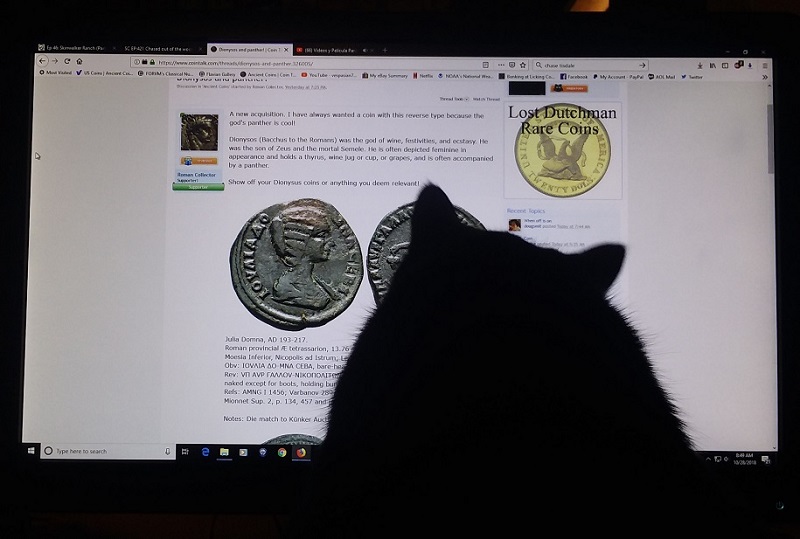 Hershey coin collector.jpg