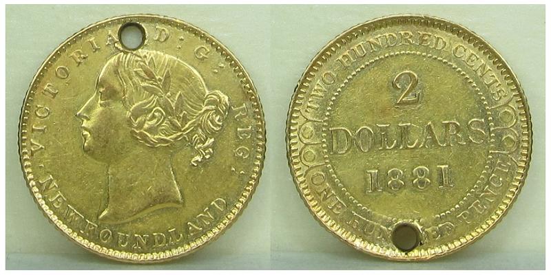 HGH-Canada-Newfie-Gold-200-1881.jpg