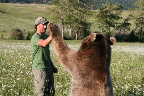 high five 2.jpg
