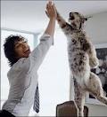 high five 3.jpg