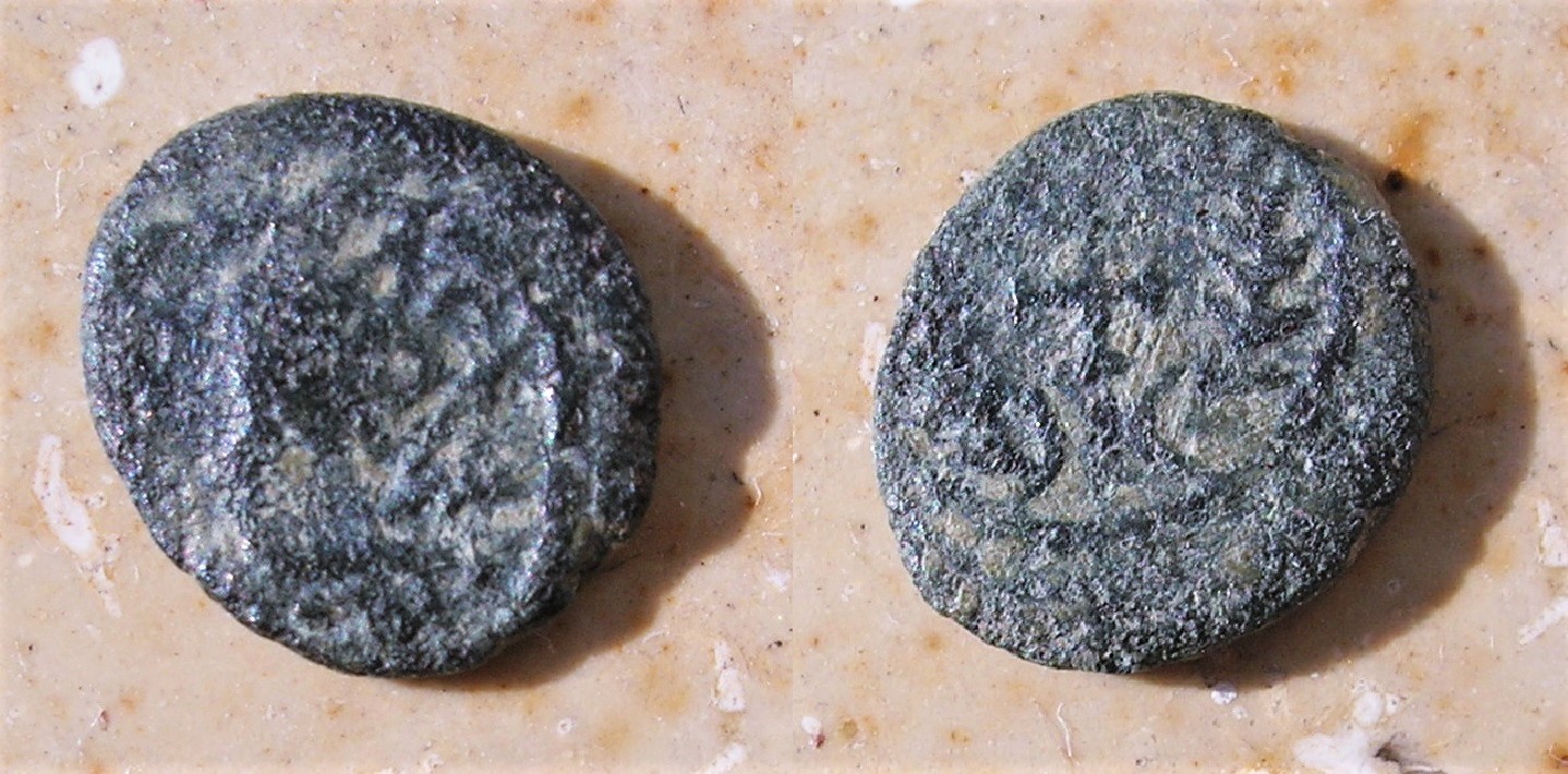 hilderic.JPG