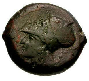 hippocamp a.jpg