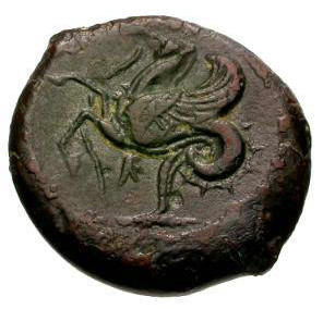 hippocamp b.jpg