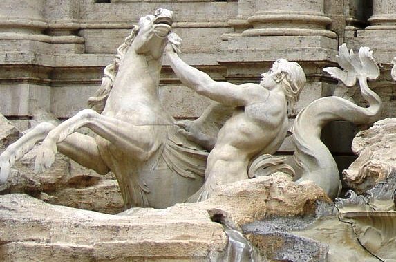 hippocamp photo 1.jpg
