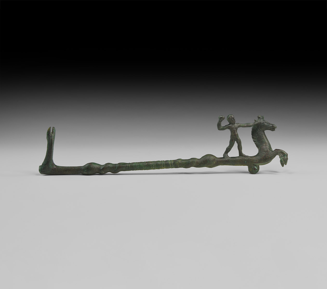hippocamp steelyard scale timeline Nov 2018.jpg