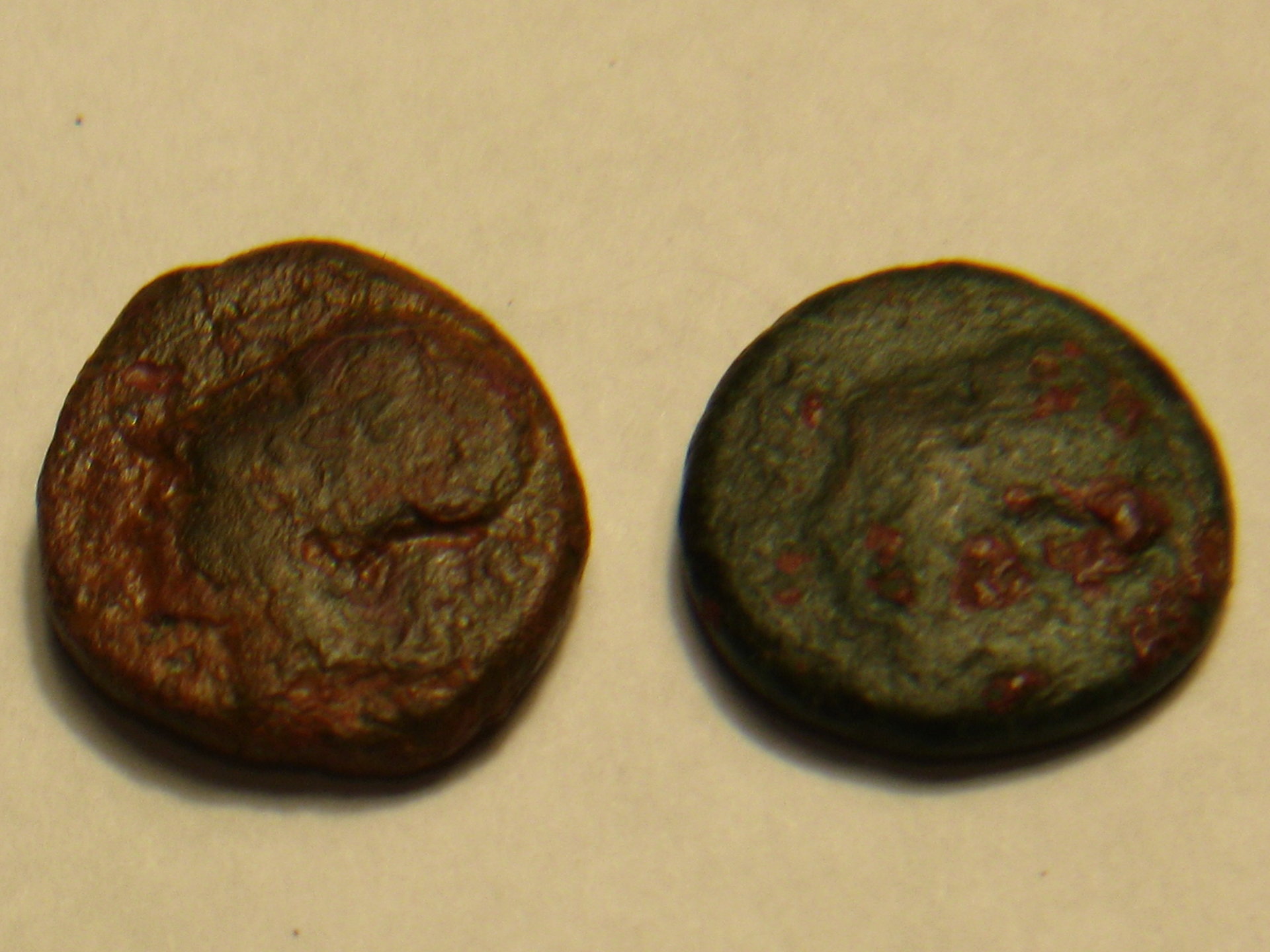 hippocamps   herinnia estucilla anton 001.JPG