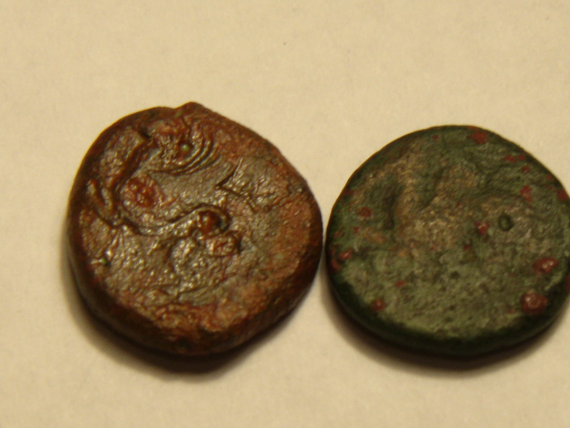 hippocamps   herinnia estucilla anton 002.JPG
