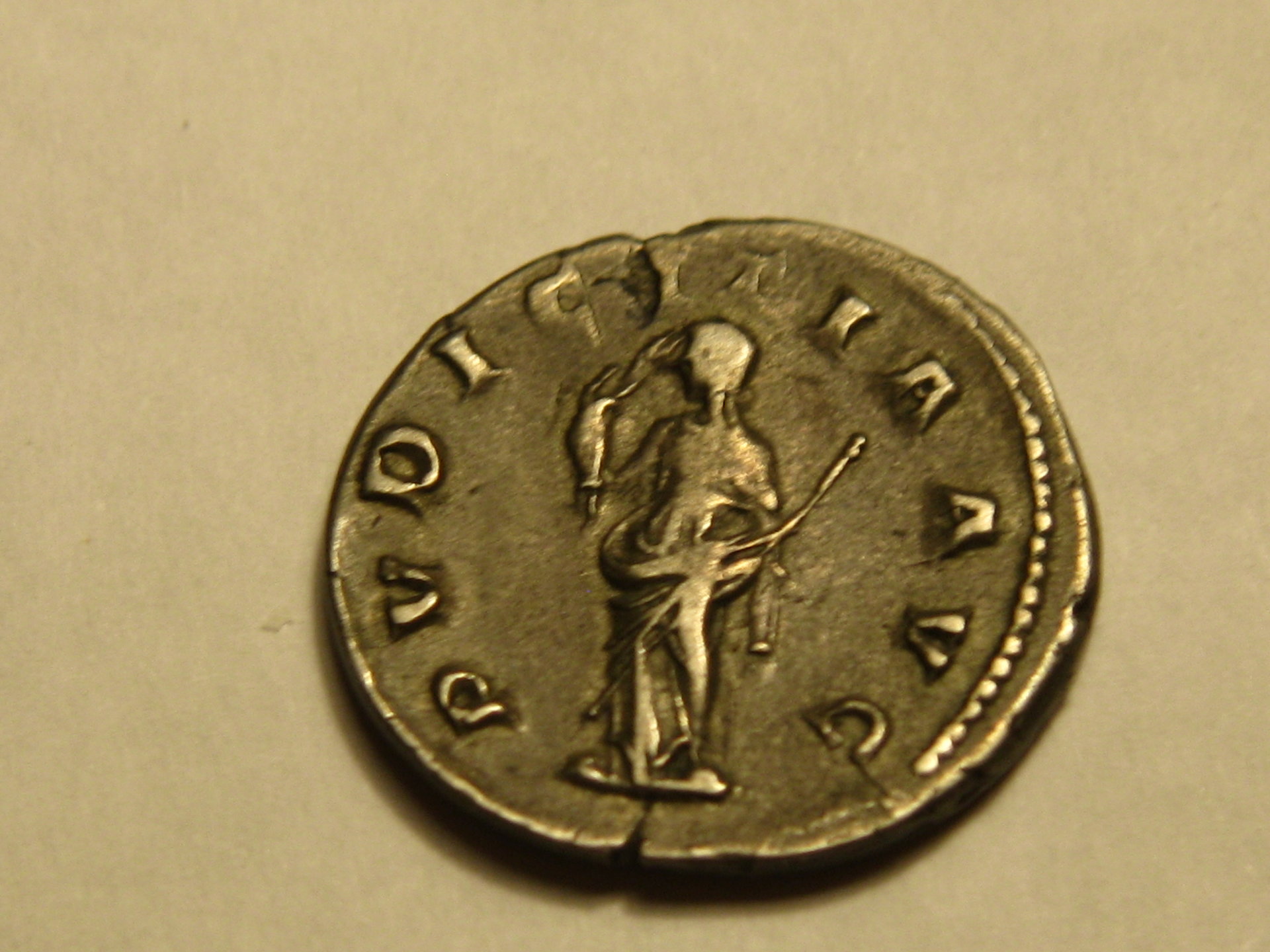 hippocamps   herinnia estucilla anton 004.JPG