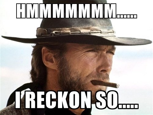 hmmmmmmm-i-reckon-so.jpg