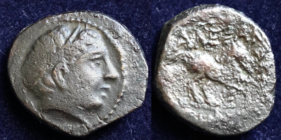 hnigpstdb1e81.jpg