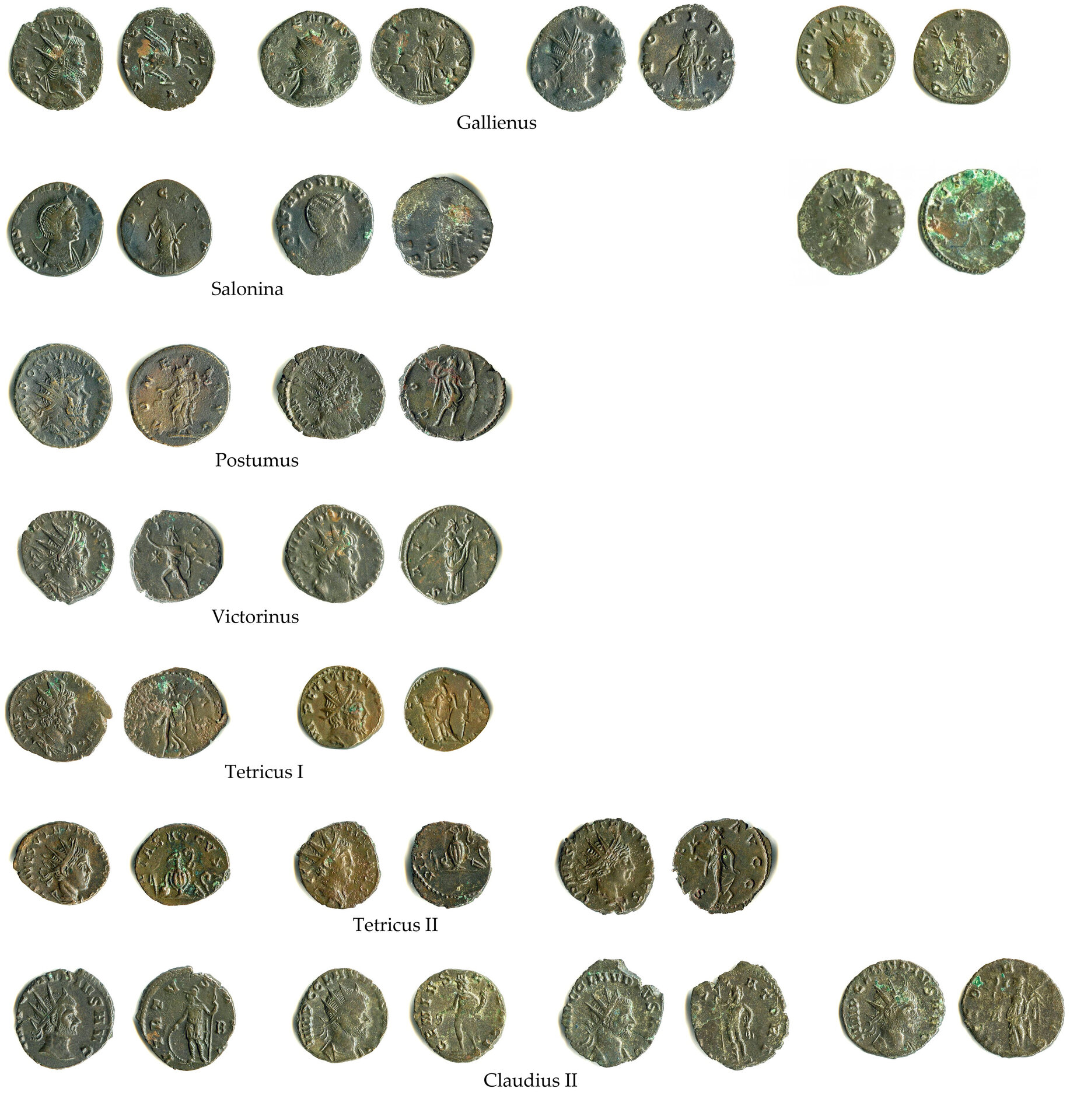 hoard.jpg